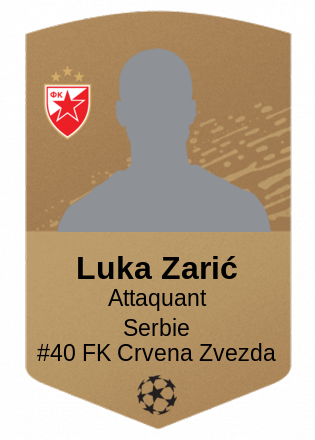 Luka Zarić