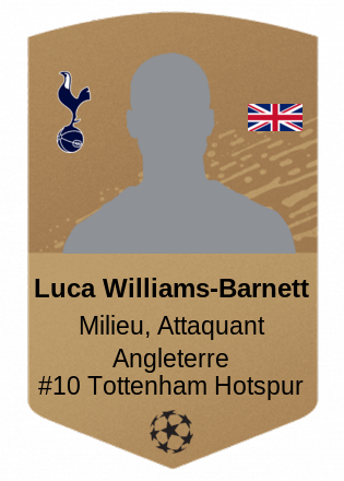 Luca Williams-Barnett