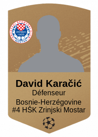 David Karačić