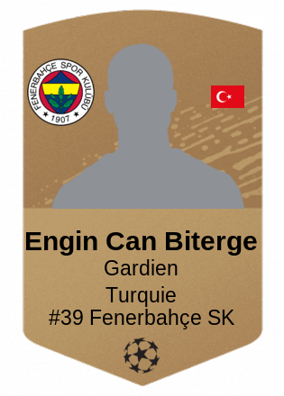 Engin Can Biterge