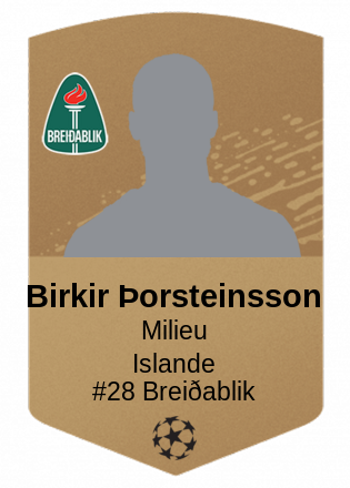 Birkir Þorsteinsson