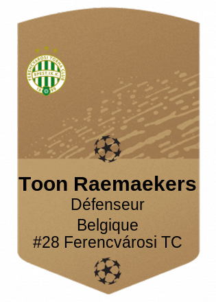 Toon Raemaekers