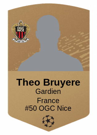Theo Bruyere