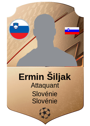 Ermin Šiljak