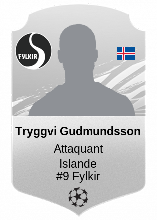 Tryggvi Gudmundsson