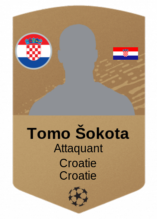 Tomo Šokota