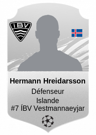 Hermann Hreidarsson