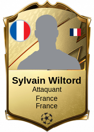 Sylvain Wiltord