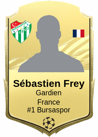 Sébastien Frey