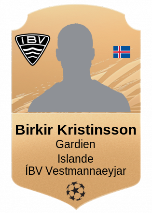 Birkir Kristinsson