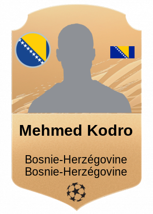 Mehmed Kodro