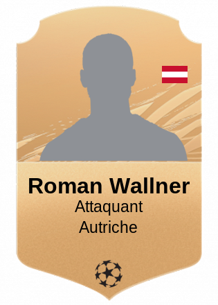 Roman Wallner