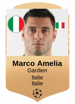 Marco Amelia