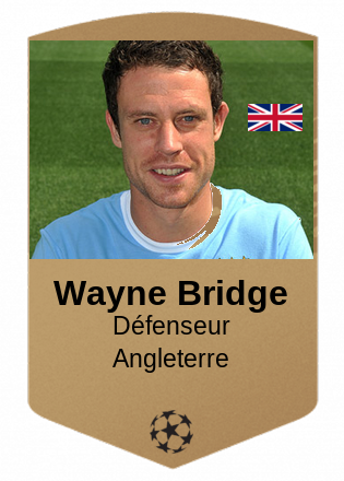Wayne Bridge