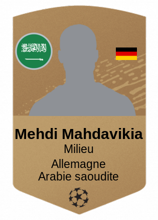 Mehdi Mahdavikia
