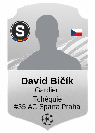 David Bičík