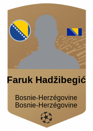 Faruk Hadžibegić