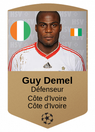 Guy Demel