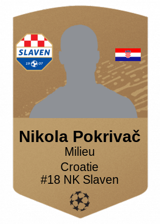 Nikola Pokrivač