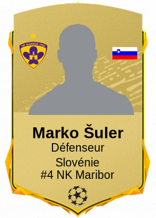 Marko Šuler