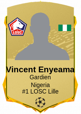 Vincent Enyeama