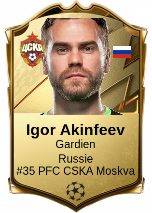 Igor Akinfeev