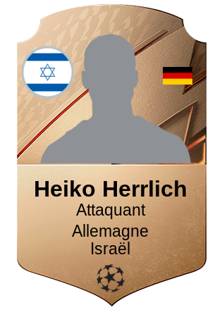 Heiko Herrlich