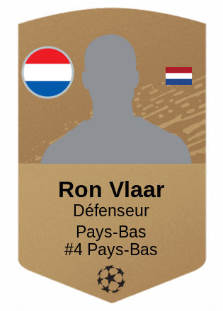 Ron Vlaar