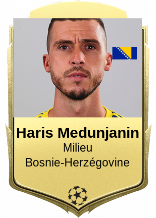 Haris Medunjanin