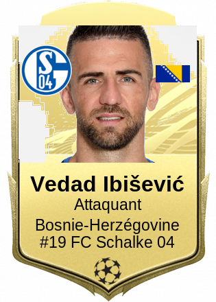Vedad Ibišević
