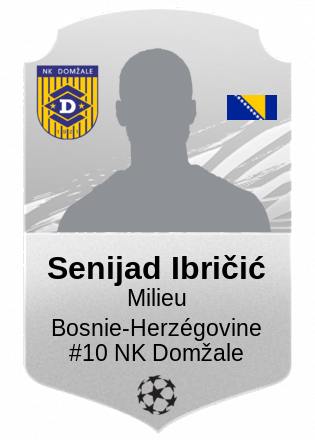 Senijad Ibričić